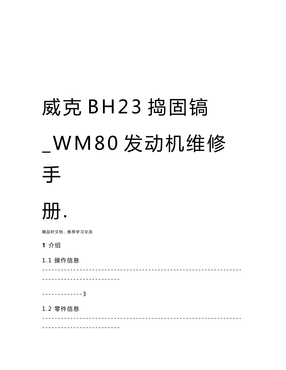 威克BH23捣固镐_WM80发动机维修手册._第1页