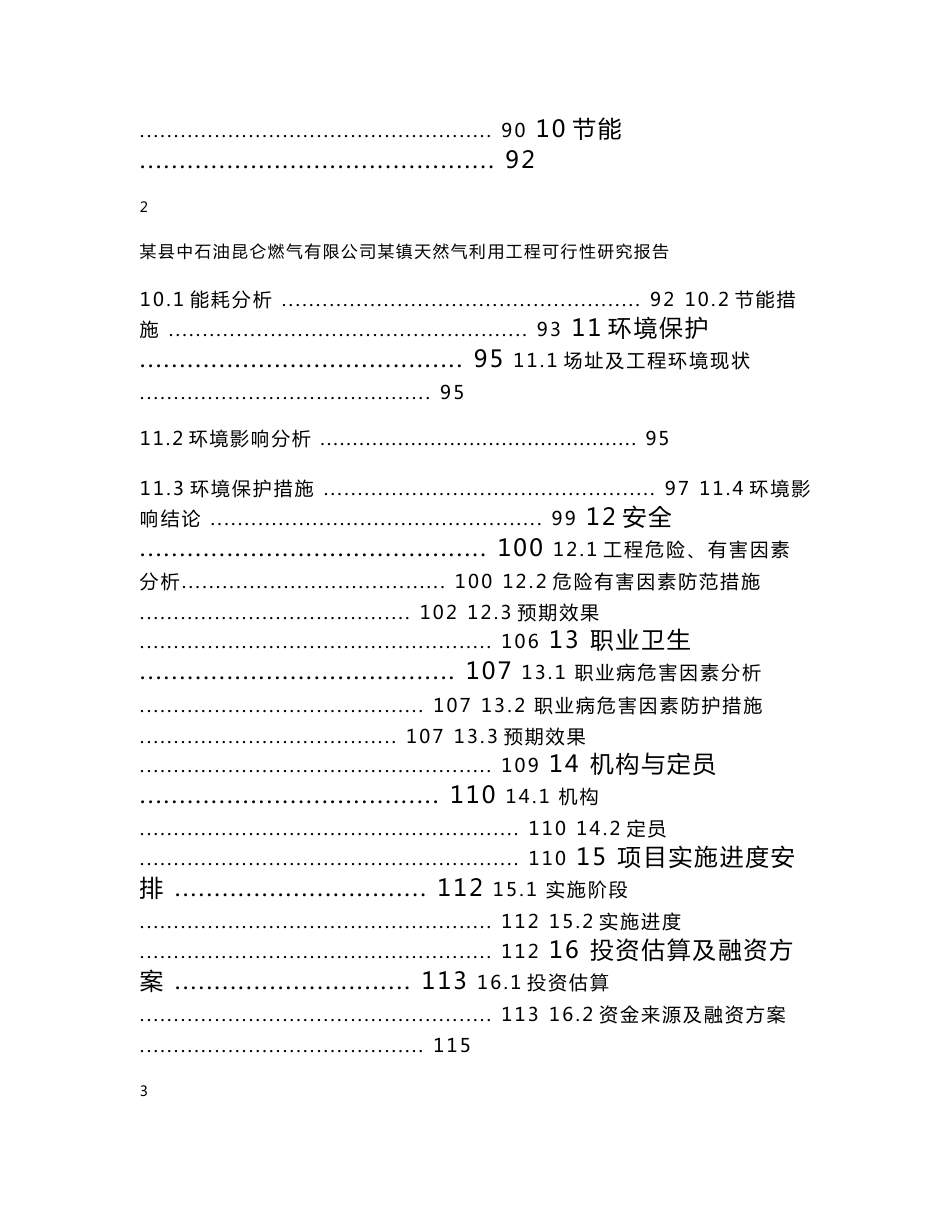 天然气利用工程可行性研究报告_第3页