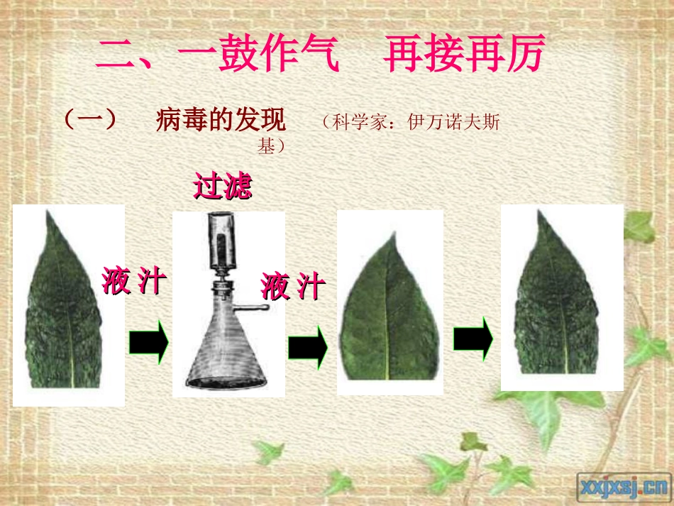 初中生物课件   病毒_第3页