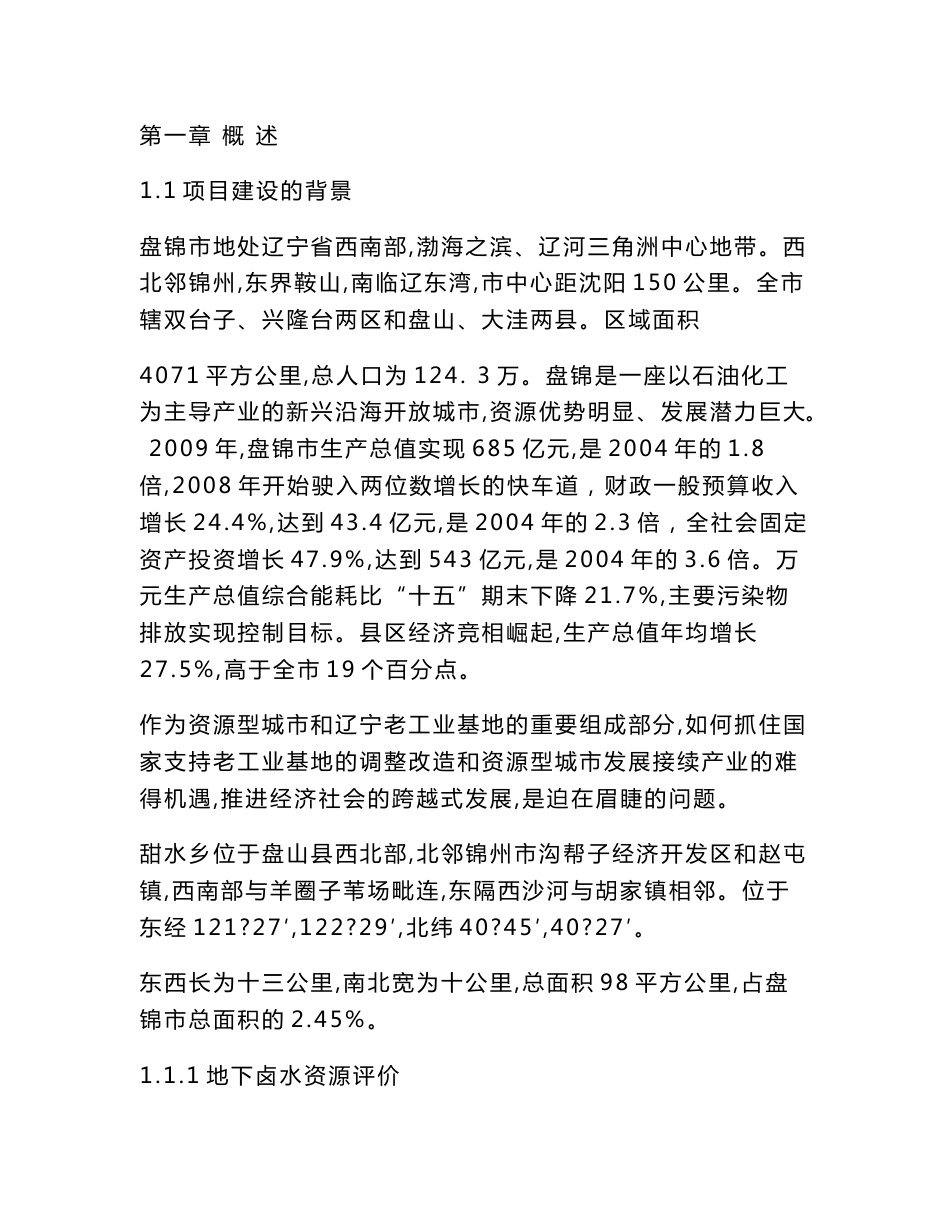 盐化工产业园区基础设施建设项目可行性研究报告_第1页