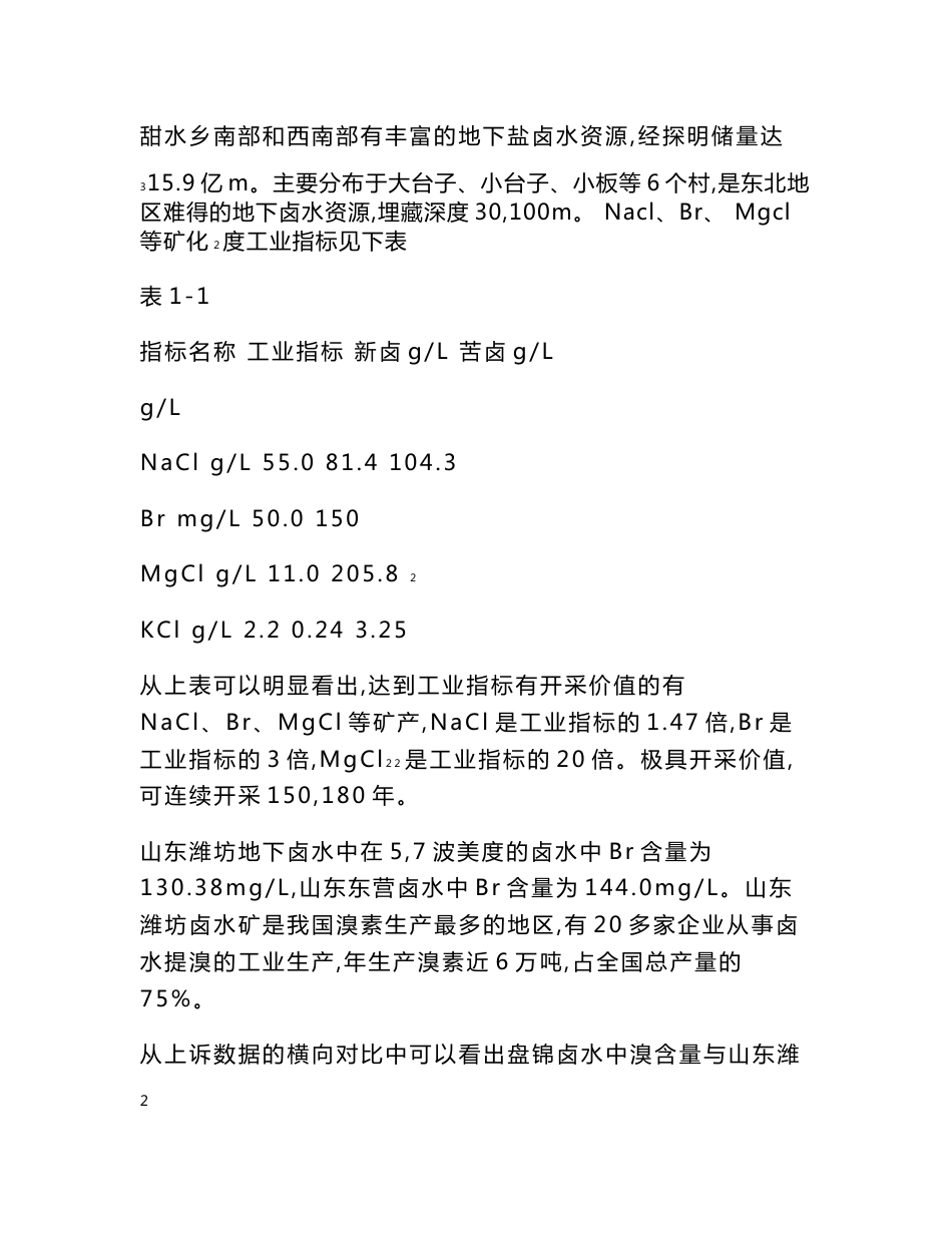 盐化工产业园区基础设施建设项目可行性研究报告_第2页