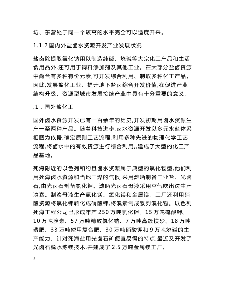 盐化工产业园区基础设施建设项目可行性研究报告_第3页