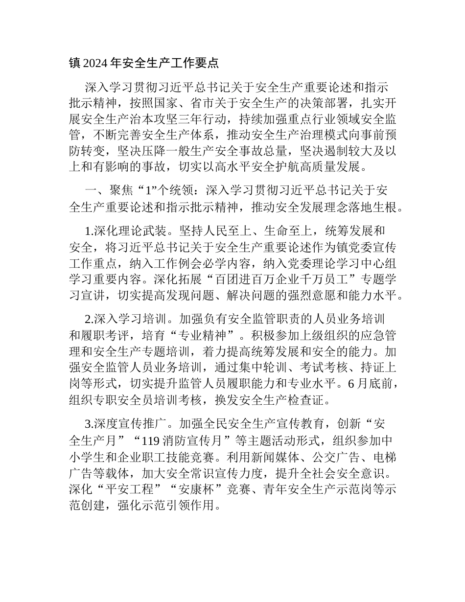 镇2024年安全生产工作要点_第1页