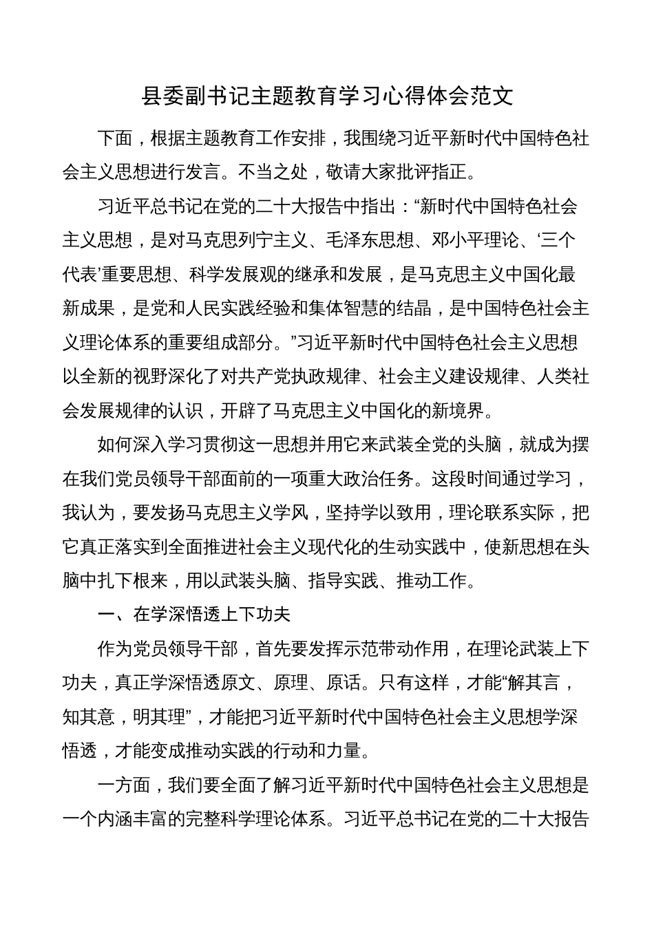 2023年县副书记主题教育学习心得体会（研讨发言材料）_第1页