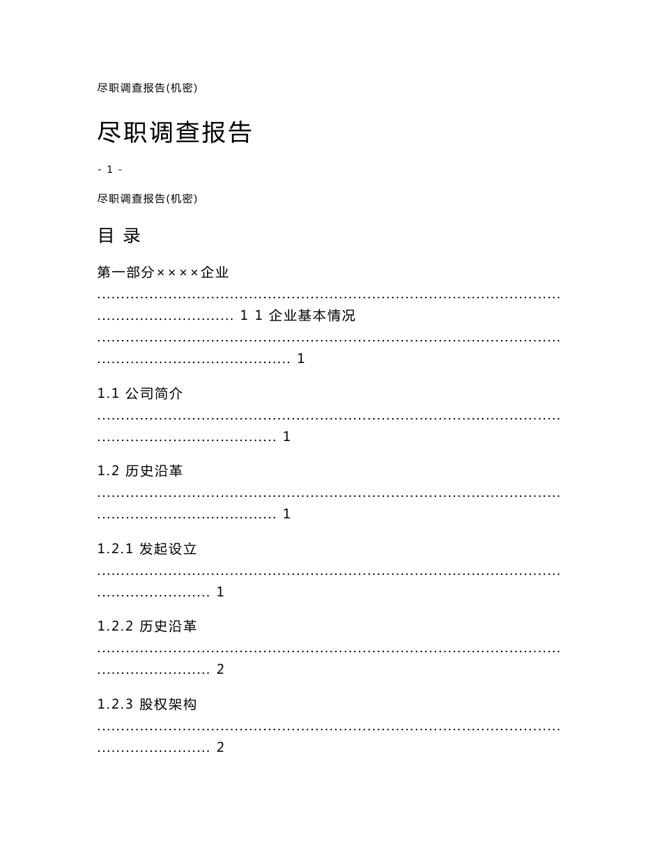 尽职调查报告模板_第1页