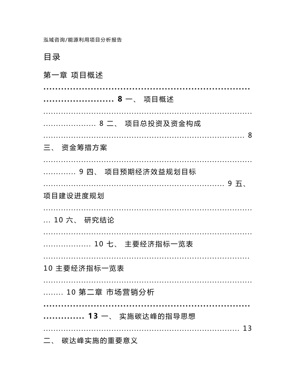 能源利用项目分析报告_模板范文_第1页