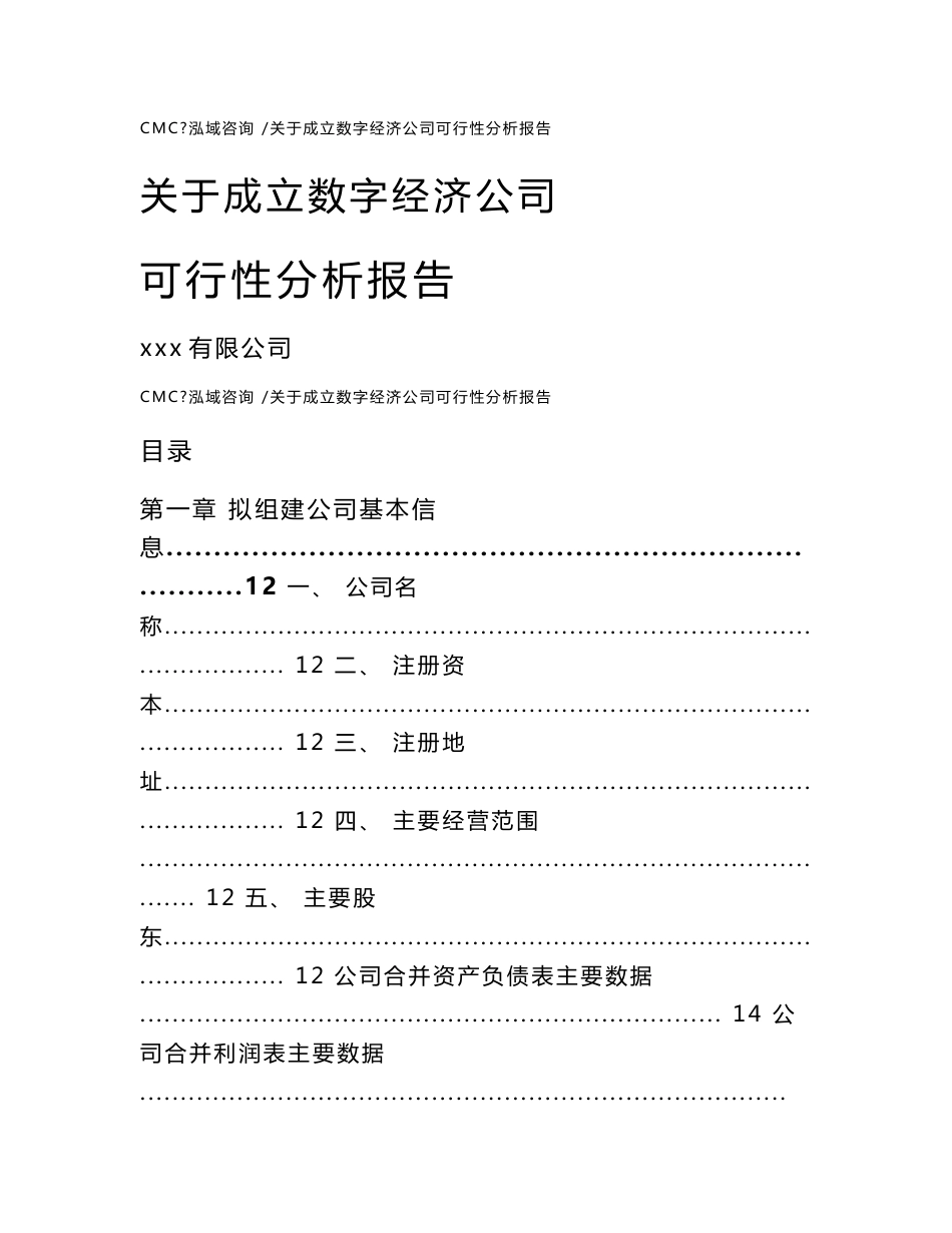 关于成立数字经济公司可行性分析报告-（模板）_第1页