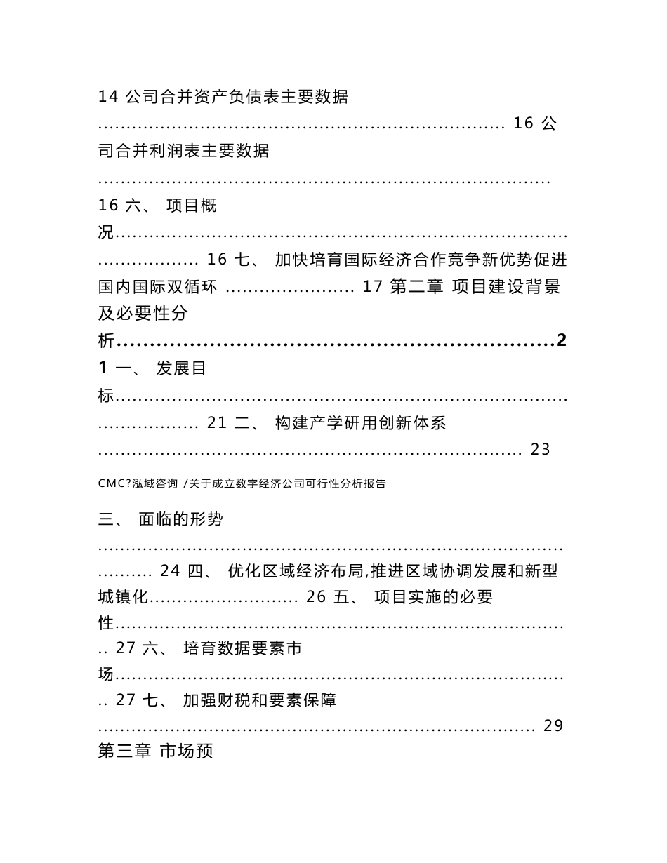 关于成立数字经济公司可行性分析报告-（模板）_第2页