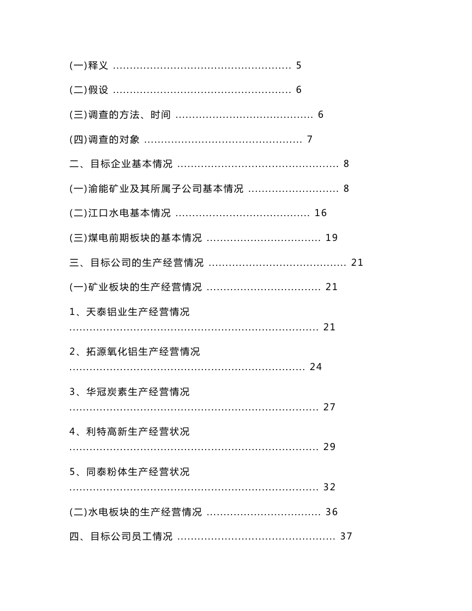 重庆渝能项目--尽职调查报告_第2页