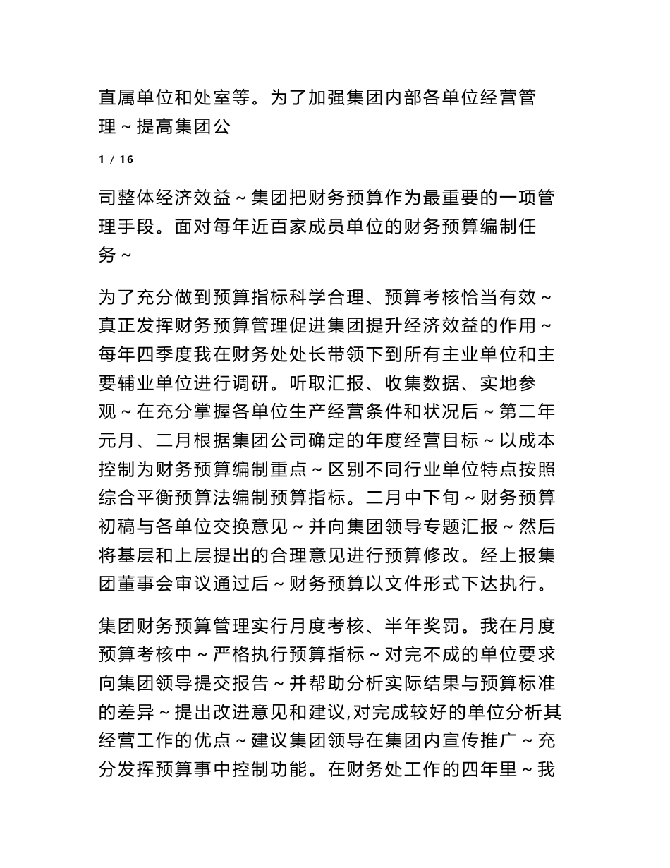 高级会计师专业技术工作总结_第2页