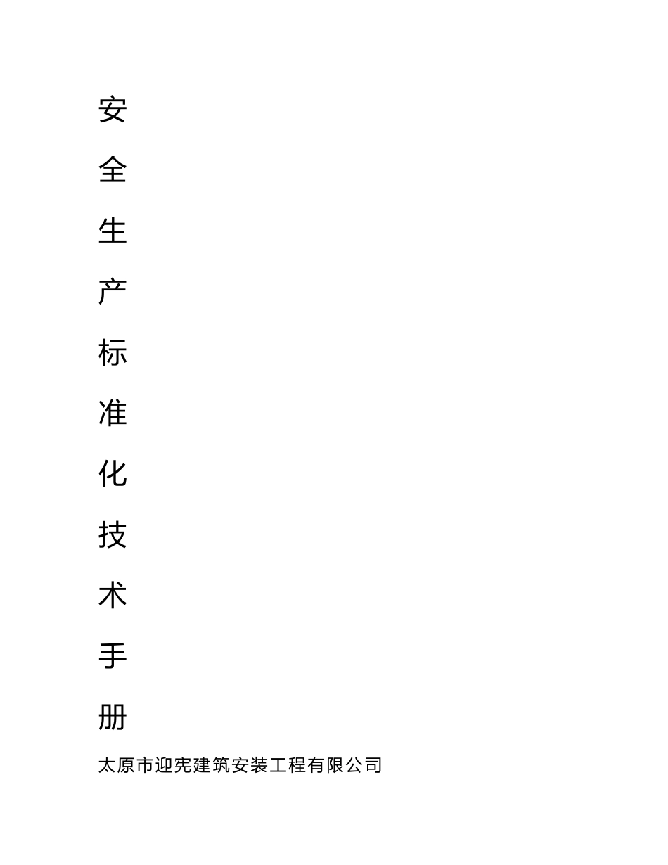 安全生产标准化技术手册_范本_第1页