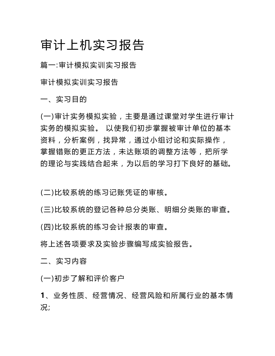 审计上机实习报告_第1页
