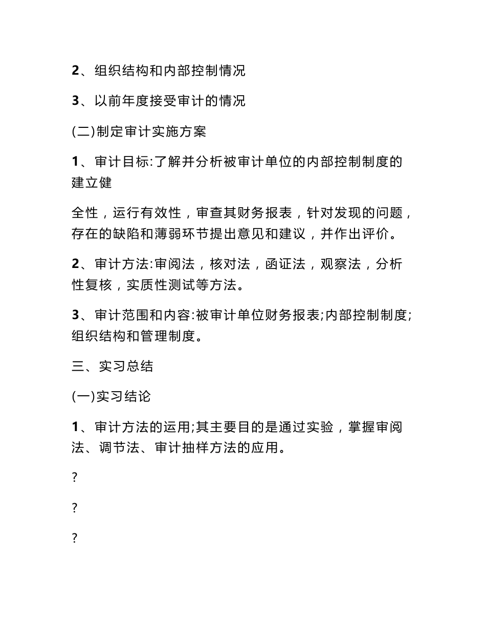 审计上机实习报告_第2页