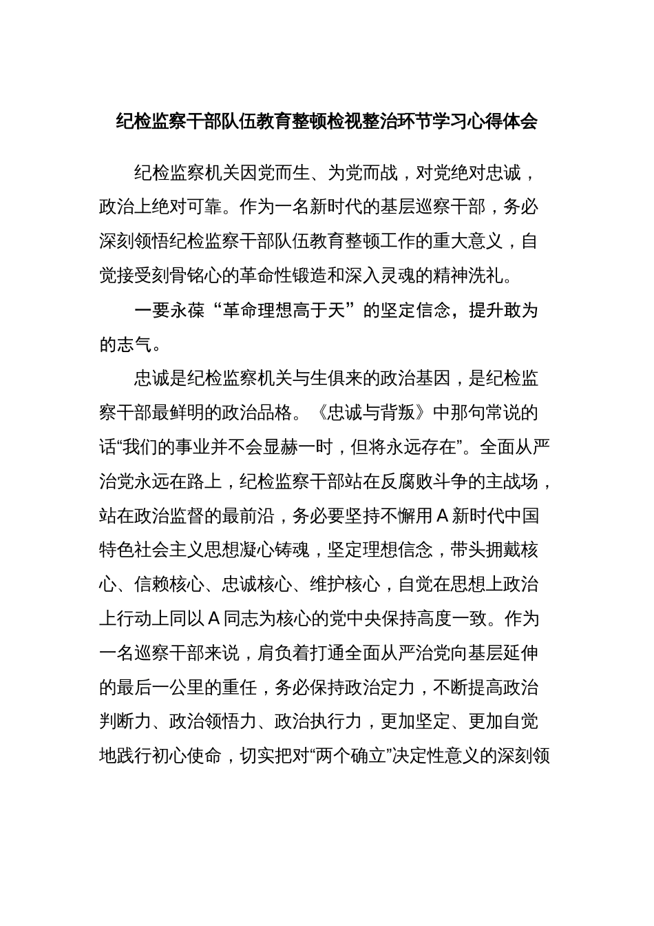 2023巡察纪检监察干部队伍教育整顿检视整治环节学习心得体会研讨发言_第1页