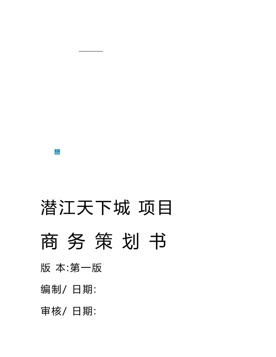 项目商务策划书.总结_第1页