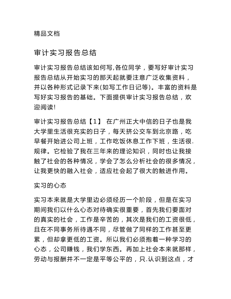 审计实习报告总结_第1页
