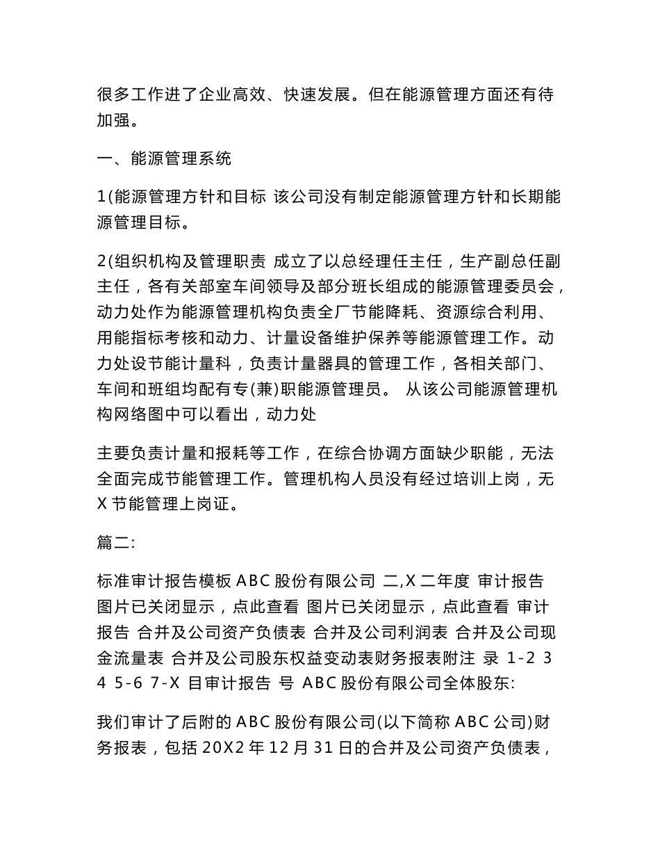 审计报告字体格式_第2页