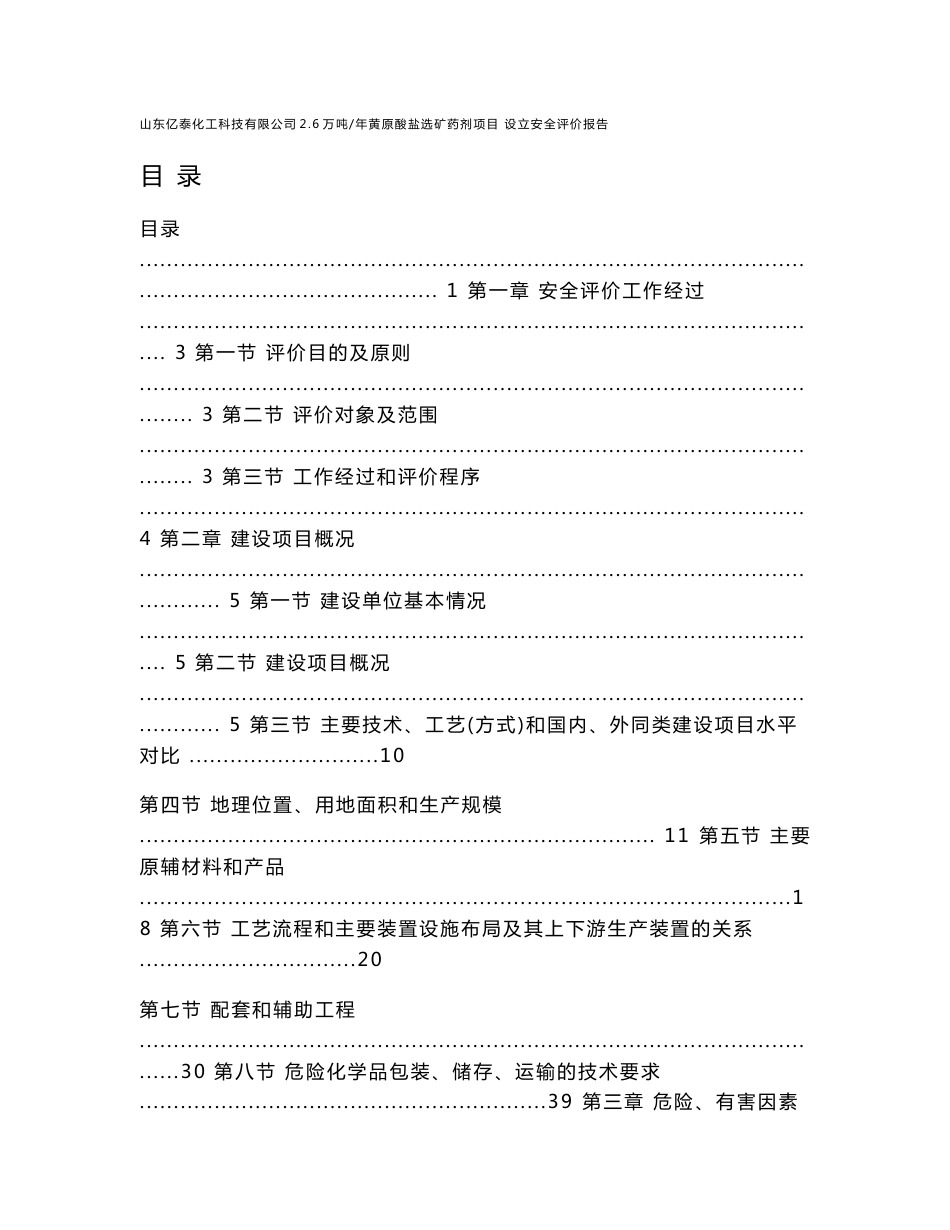 安全评价报告书_第1页