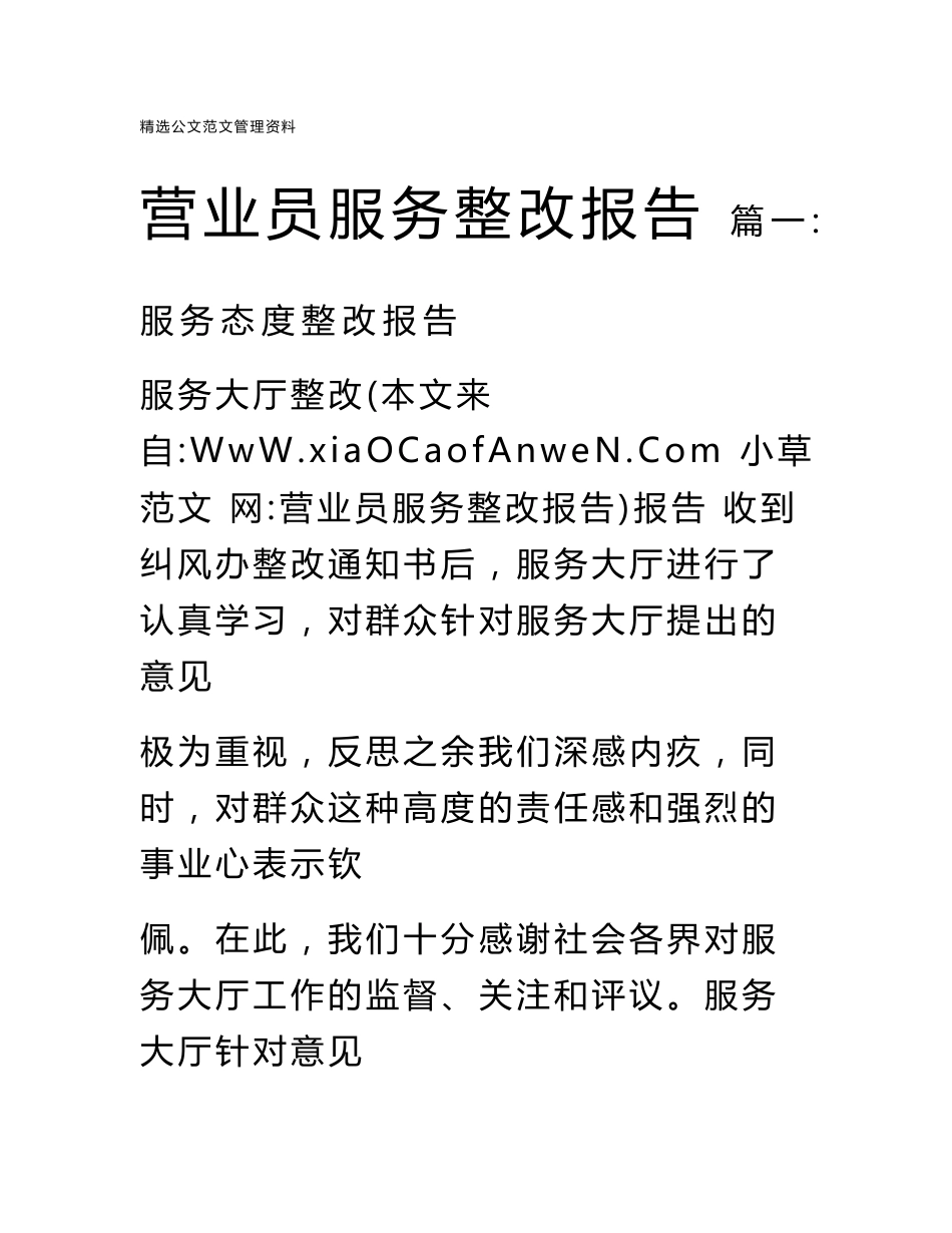 营业员服务整改报告_第1页