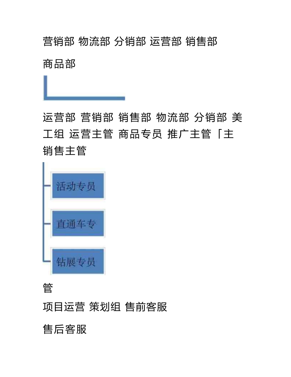 电商运营中心组织架构及岗位职责_第2页