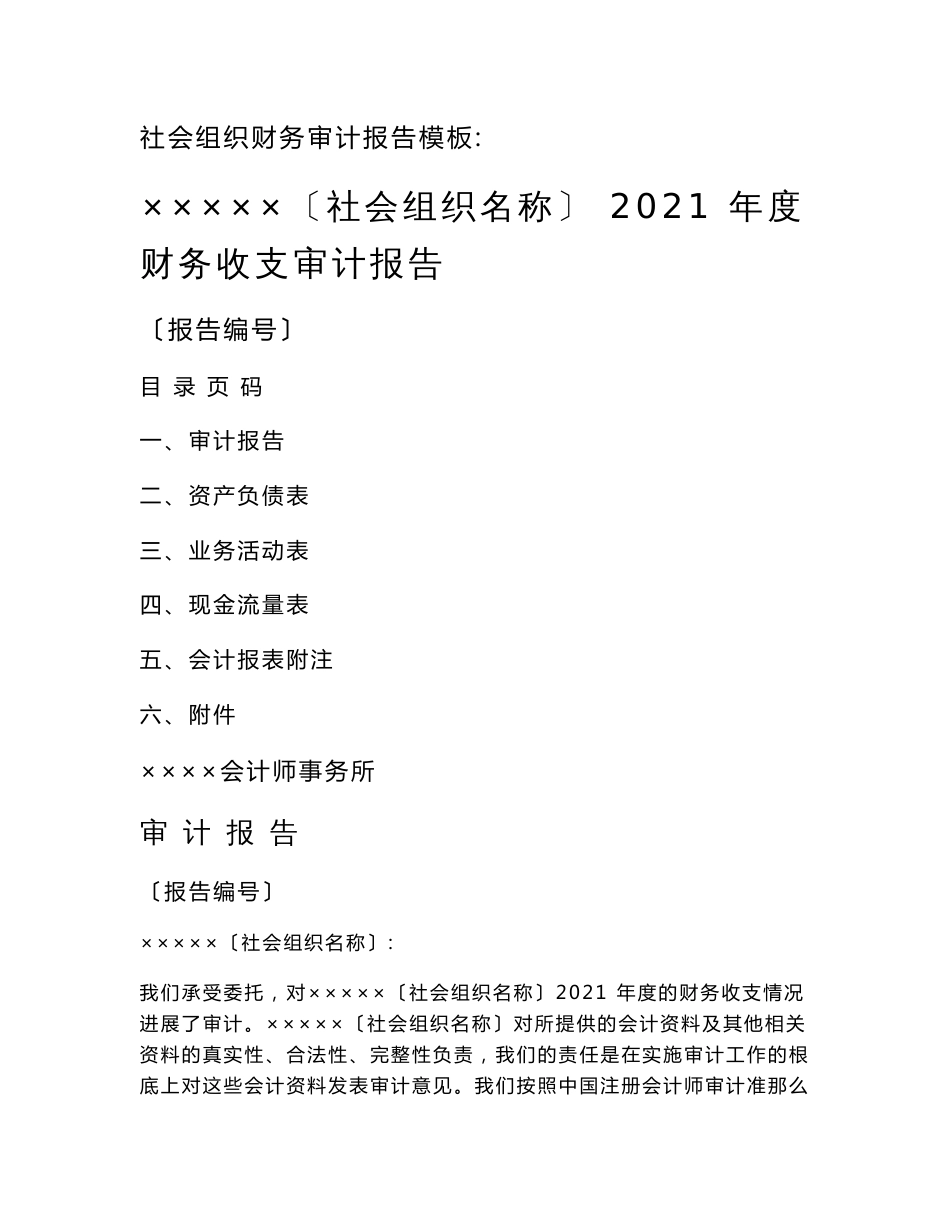 社会组织审计报告模板_第1页