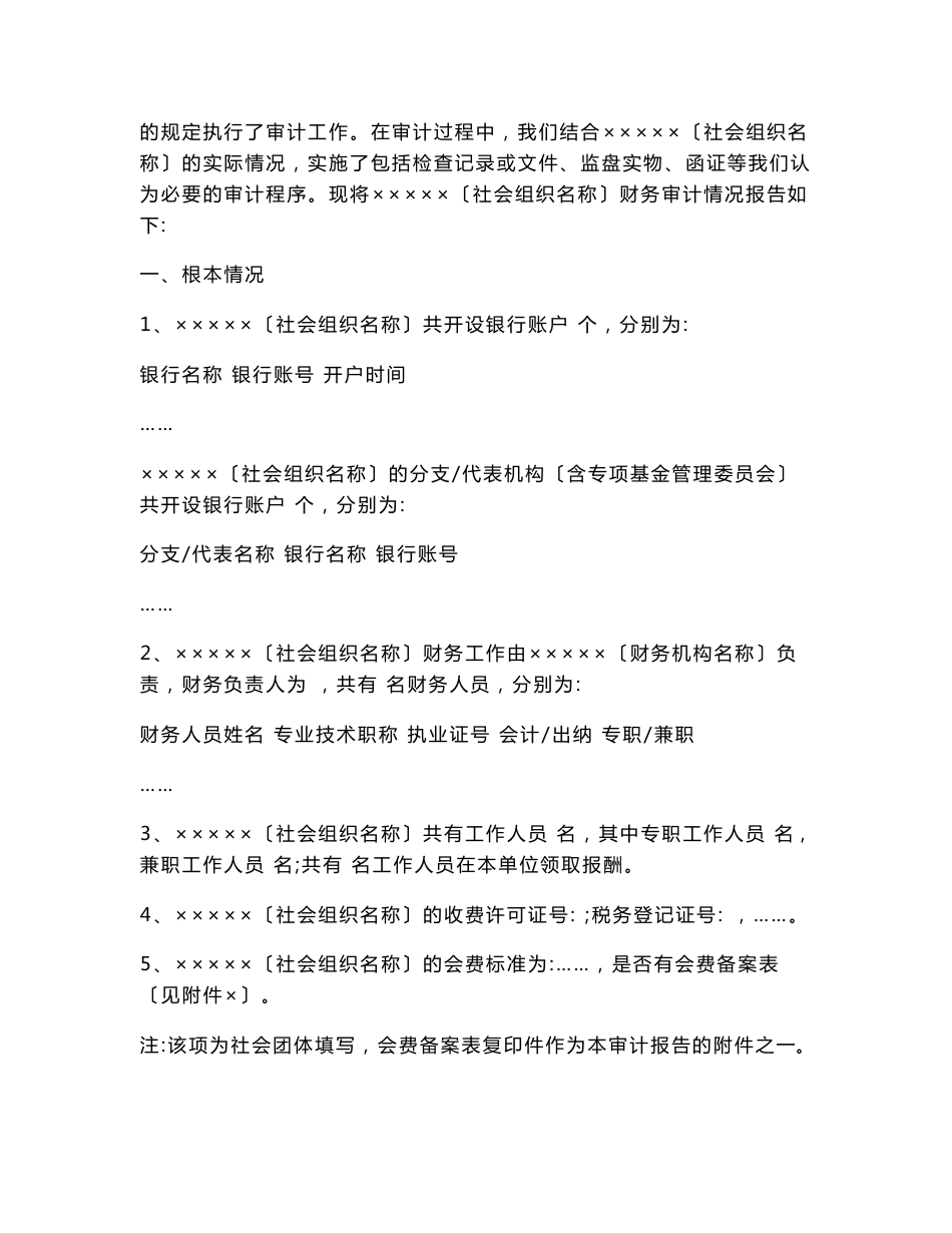 社会组织审计报告模板_第2页