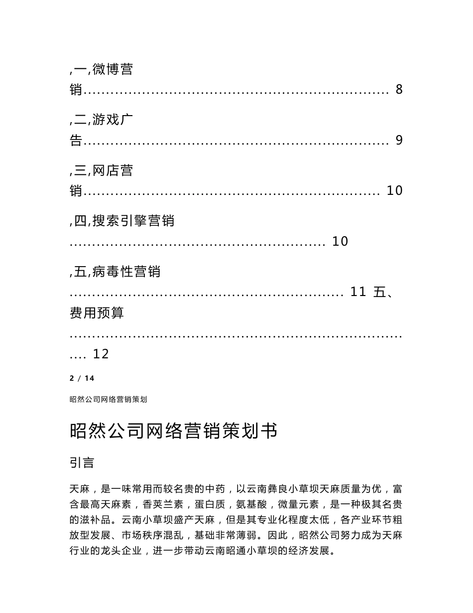 天麻网络营销项目策划书_第3页