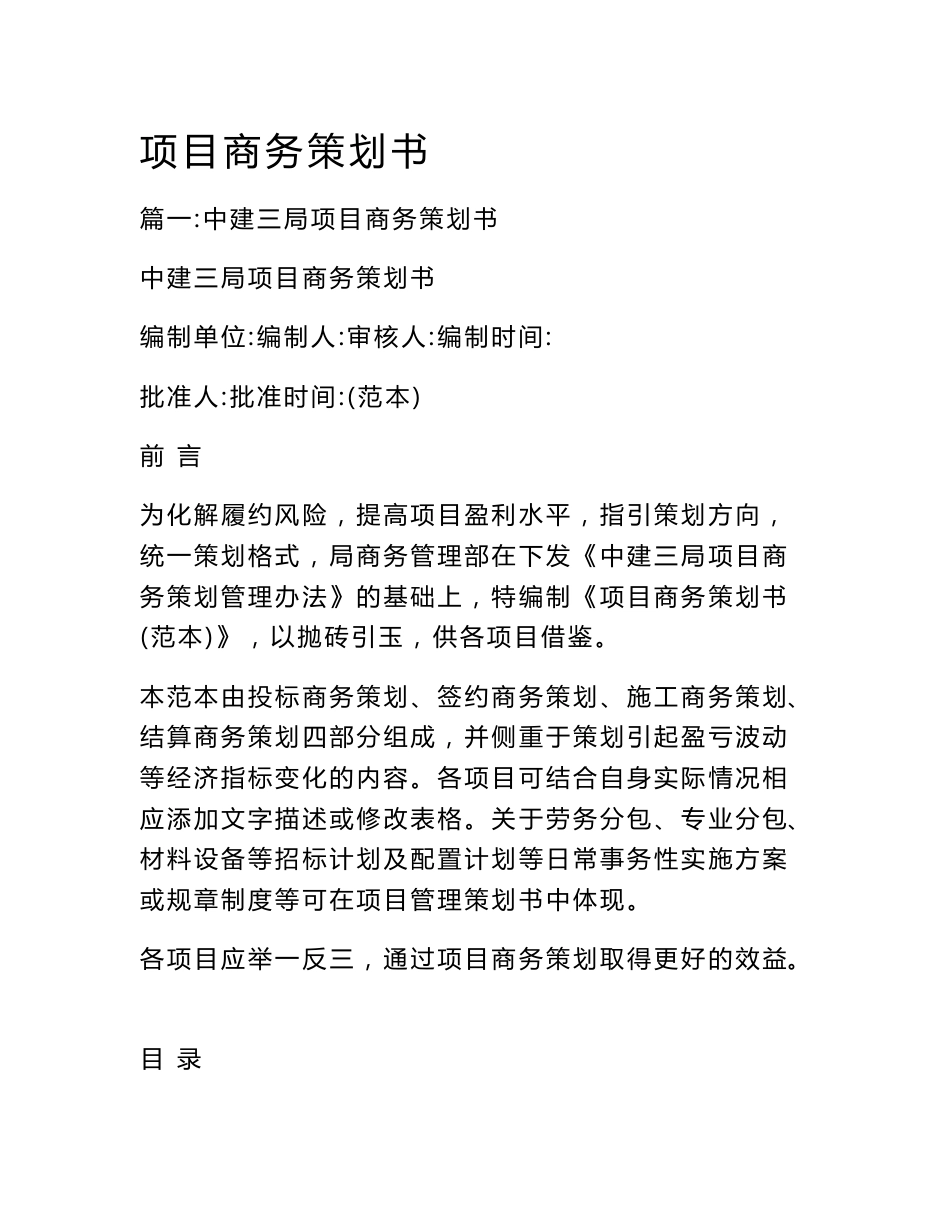 项目商务策划书_第1页