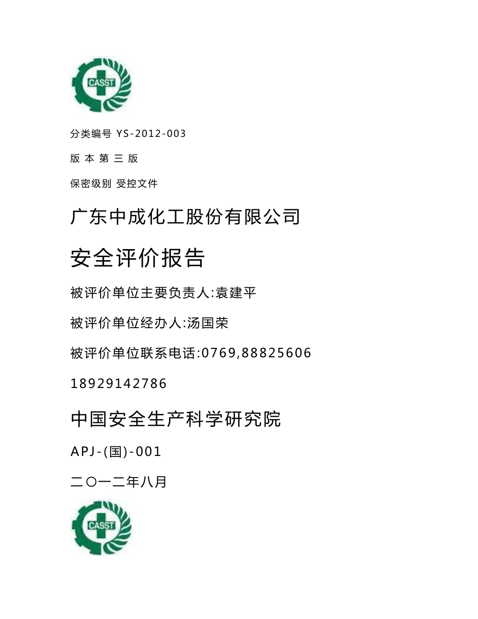 中成化工安全评价报告_第1页