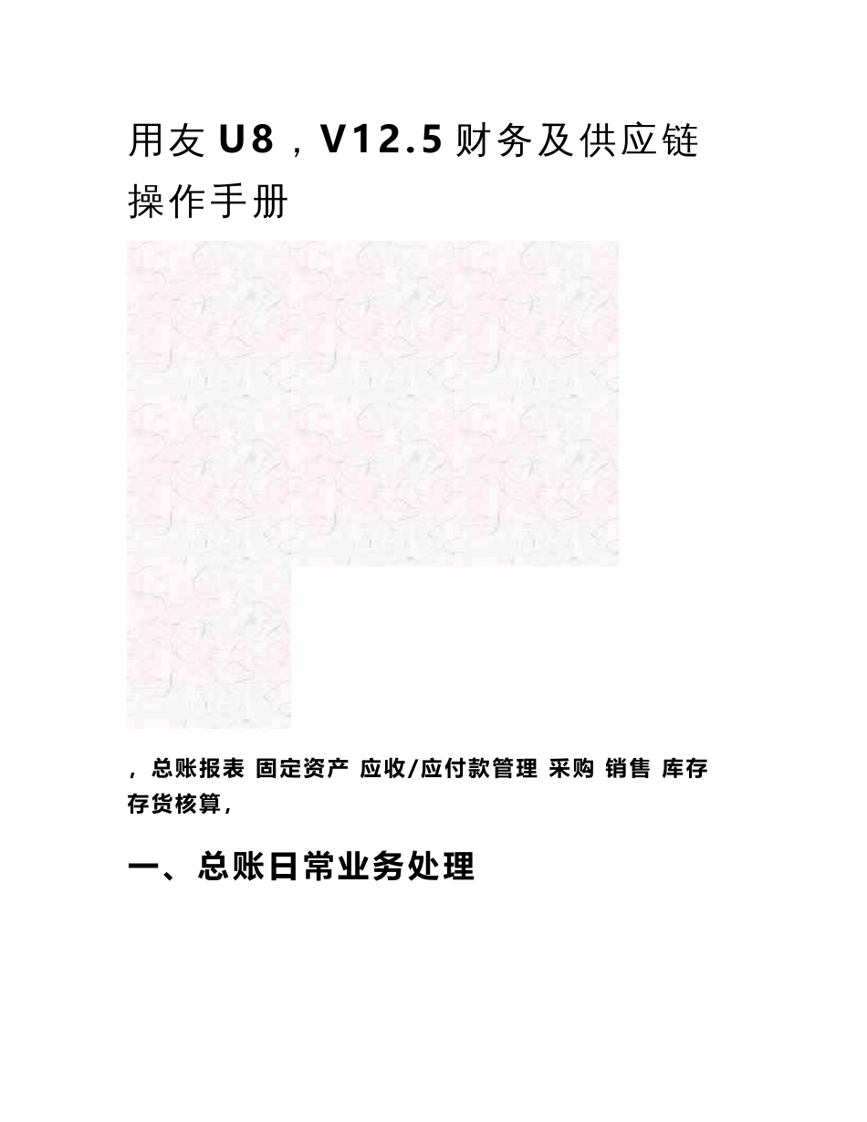 用友u8 v12.5财务及供应链操作手册_第2页