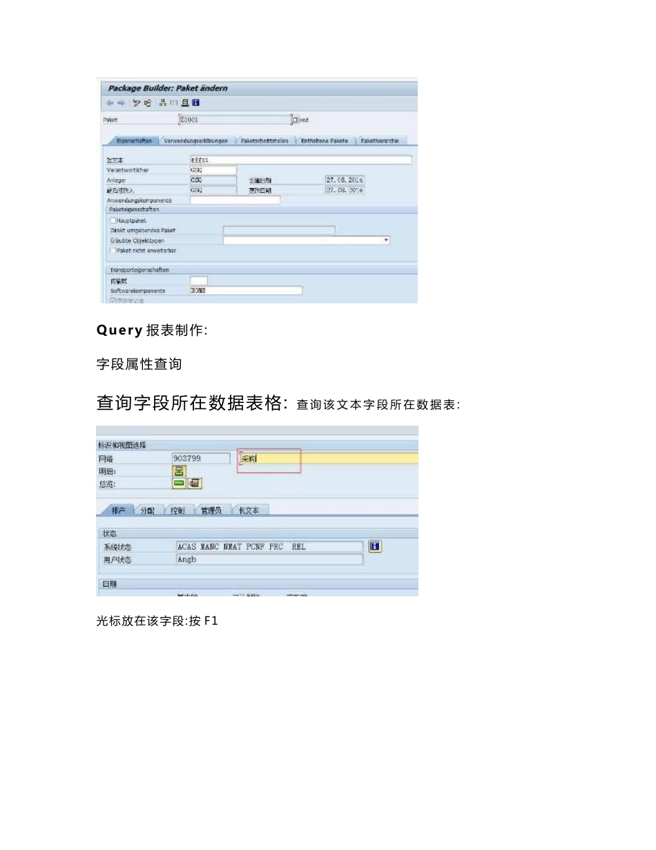 sap query 操作手册_第2页