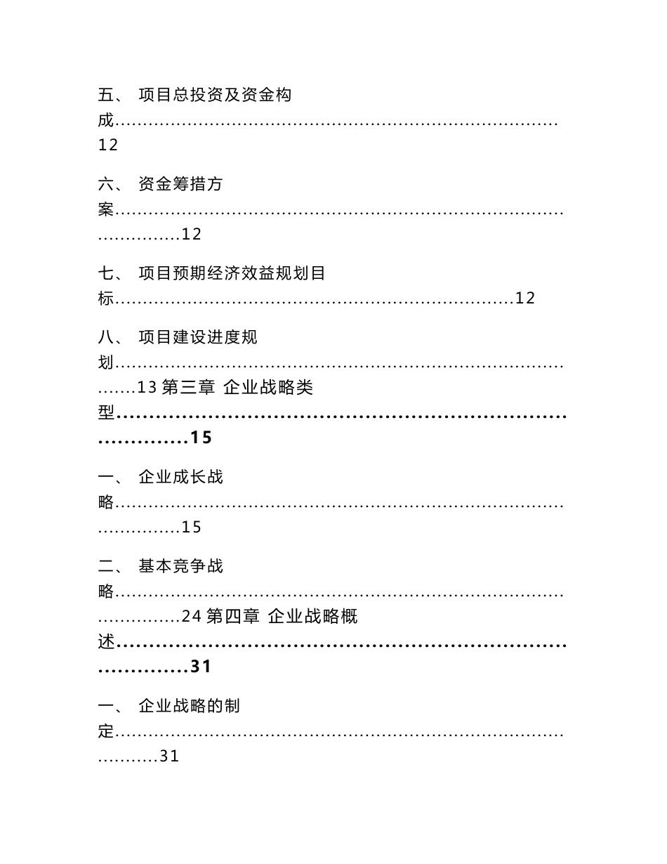 锂电池负极材料项目企业战略管理_第2页