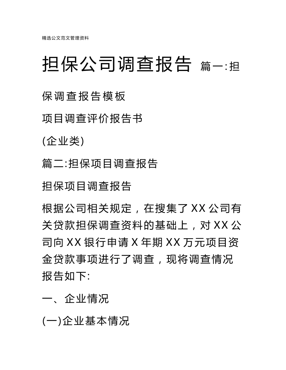 担保公司调查报告_第1页