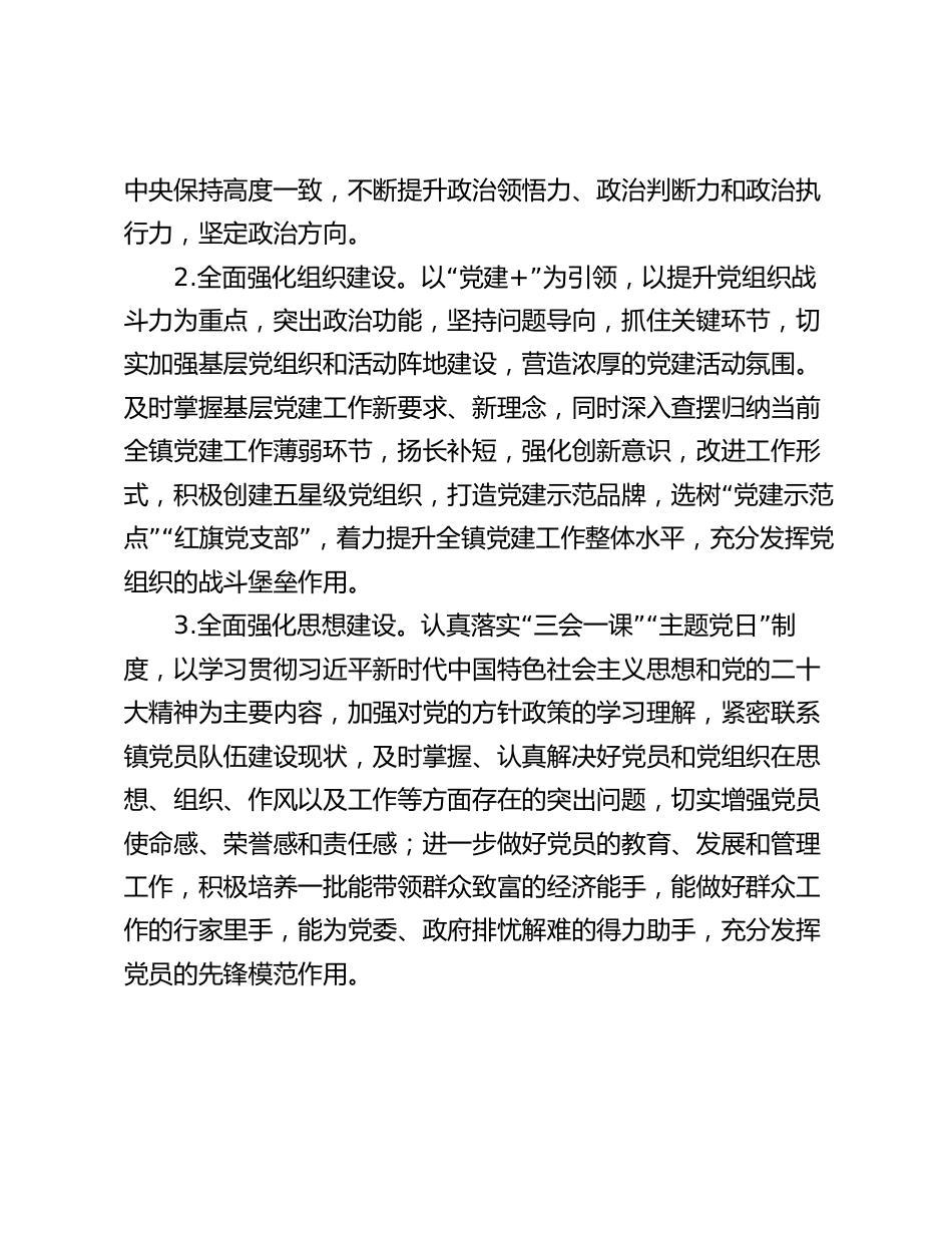 乡镇2024年党建工作计划要点_第2页