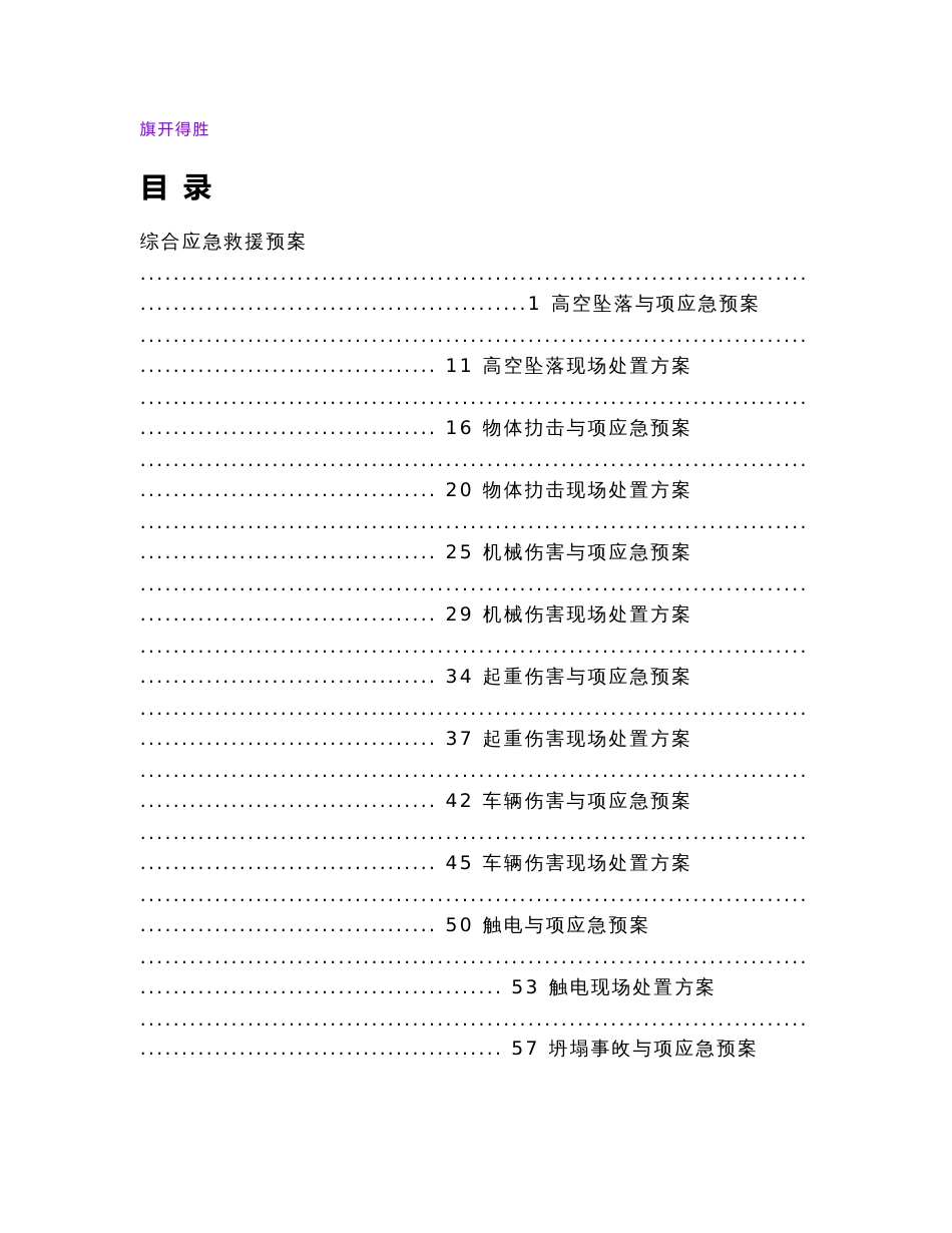 【应急预案体系大全200页】各行各业处置方案 关键时刻用的上  word可获取_第1页