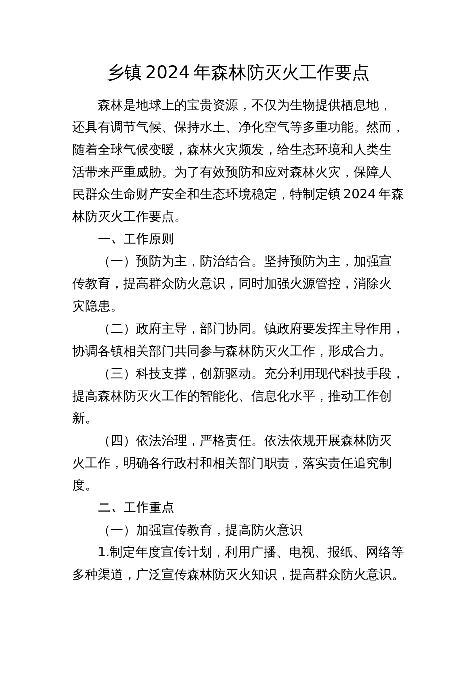 乡镇2024年森林防灭火工作要点计划_第1页