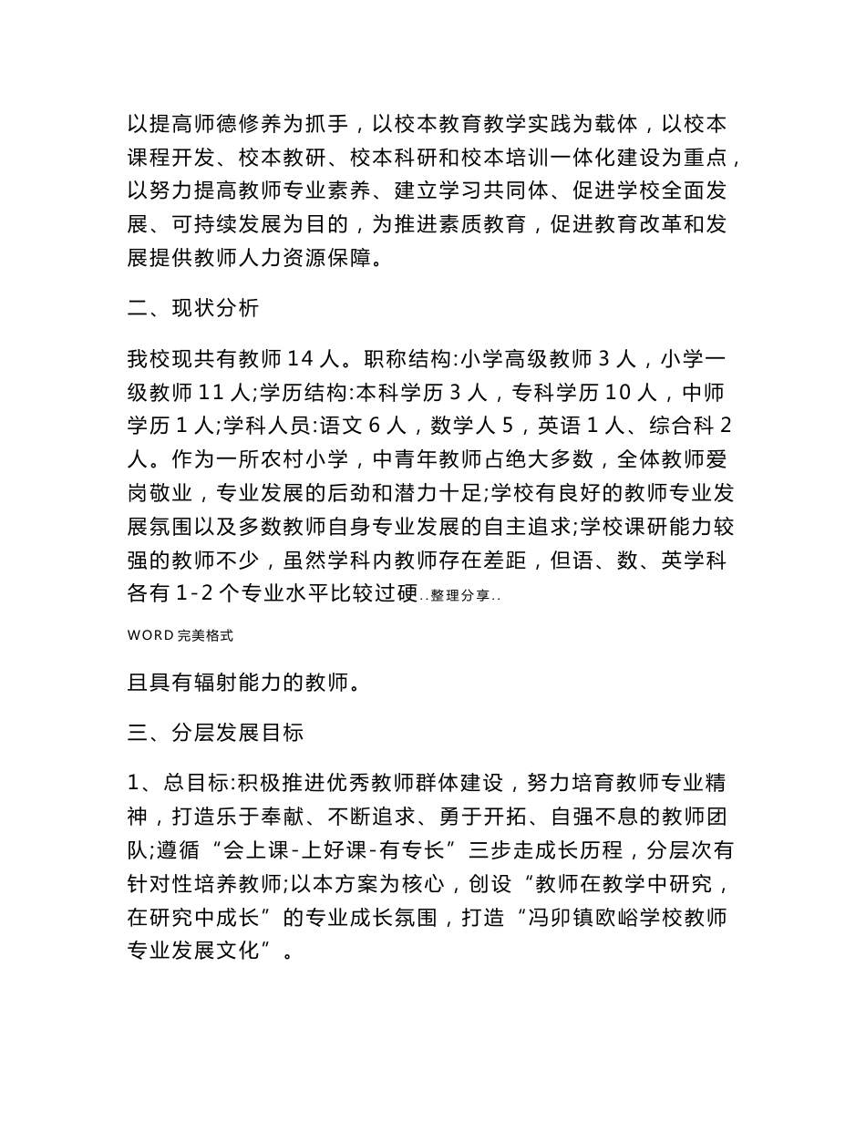 教师专业发展规划实施计划方案说明_第2页