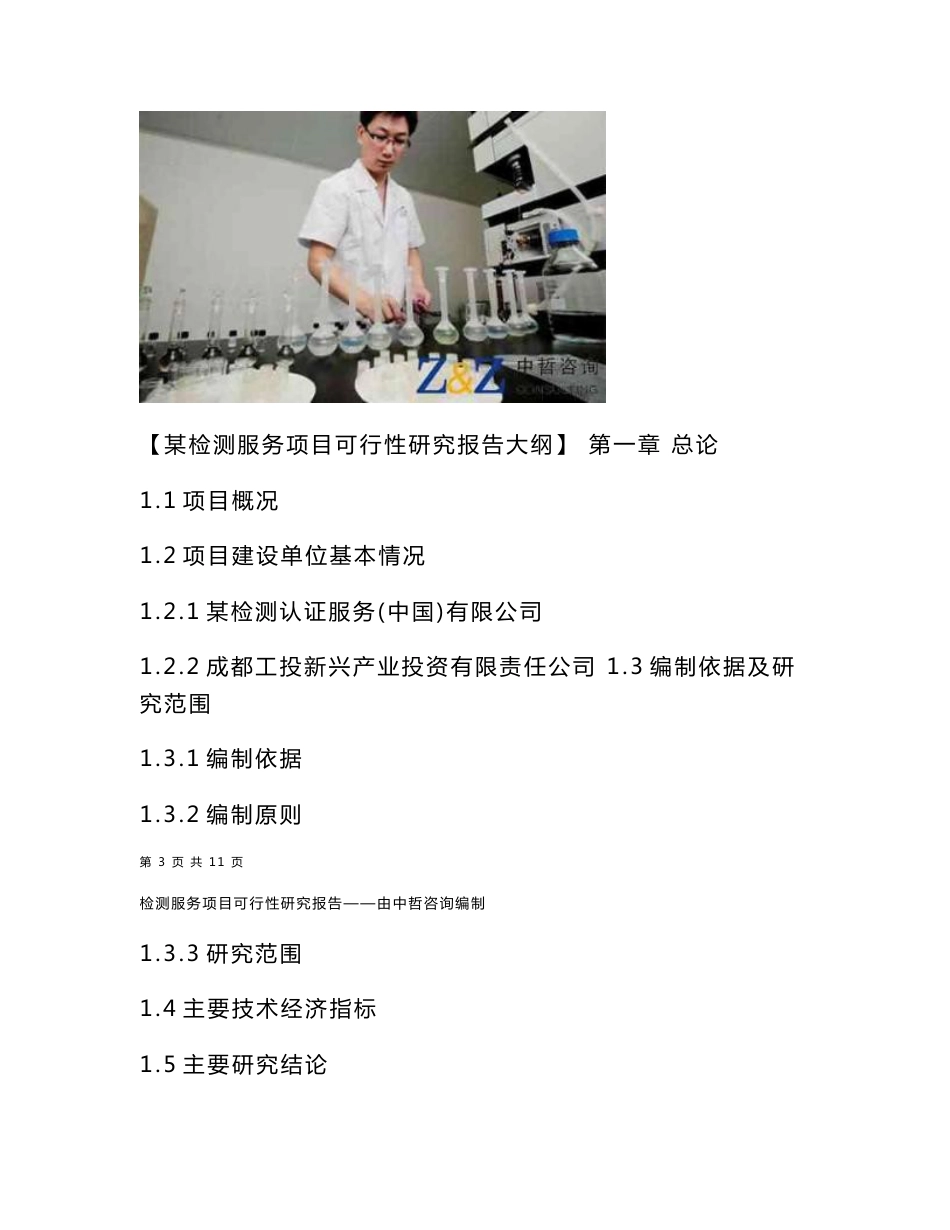 检测服务项目可行性研究报告_第2页