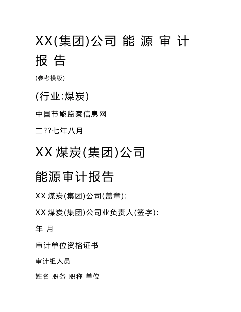 煤炭行业能源审计报告参考范本_第1页