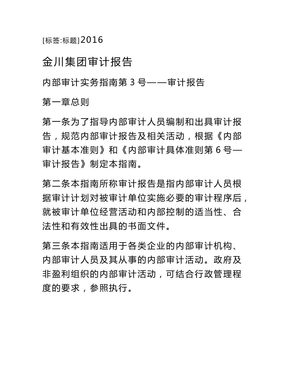 金川集团审计报告_第1页