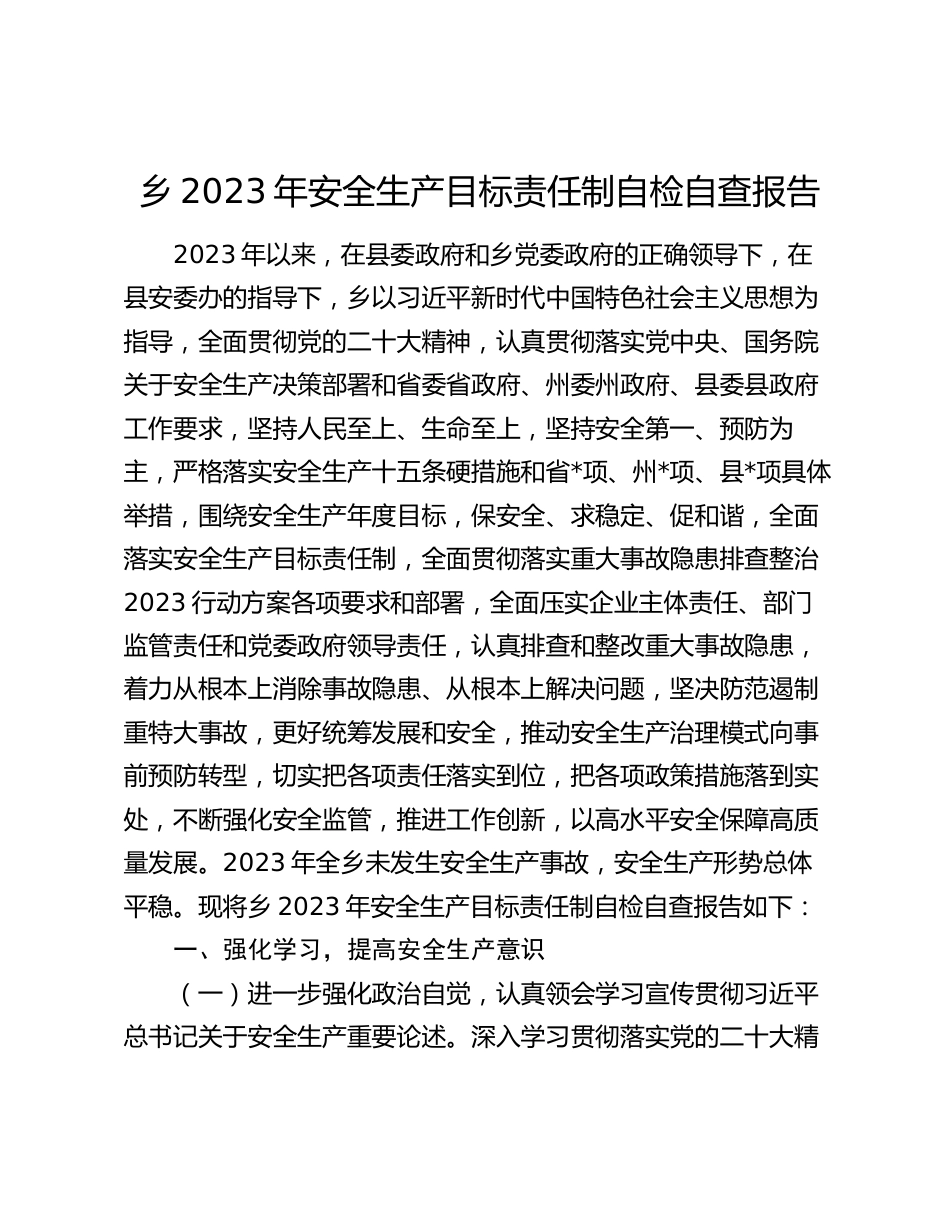 乡镇2023-2024年安全生产目标责任制自检自查报告_第1页