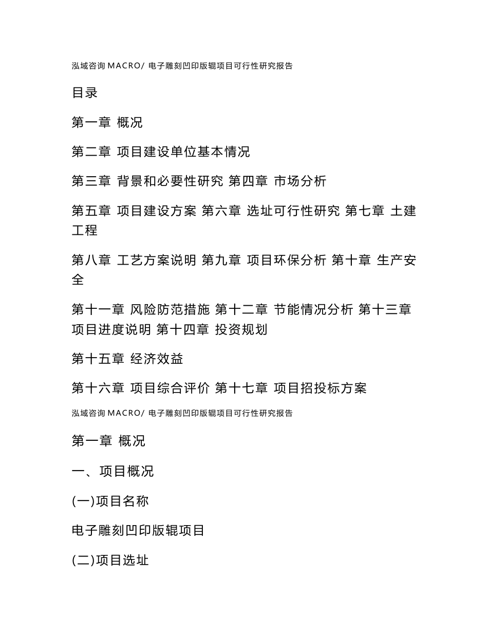 电子雕刻凹印版辊项目可行性研究报告（立项申请报告）_第1页