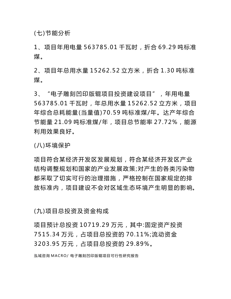 电子雕刻凹印版辊项目可行性研究报告（立项申请报告）_第3页