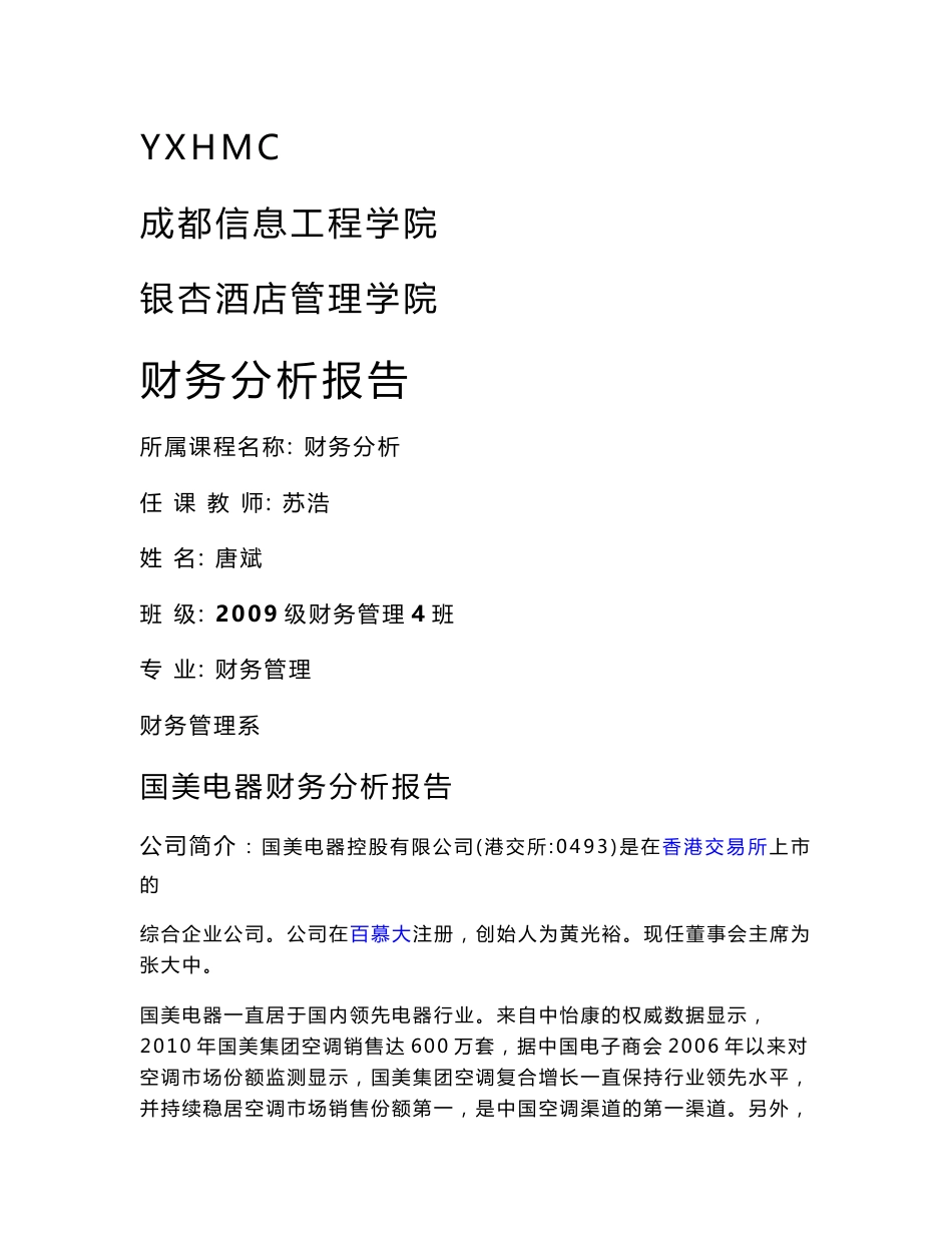 国美电器财务分析报告_第1页