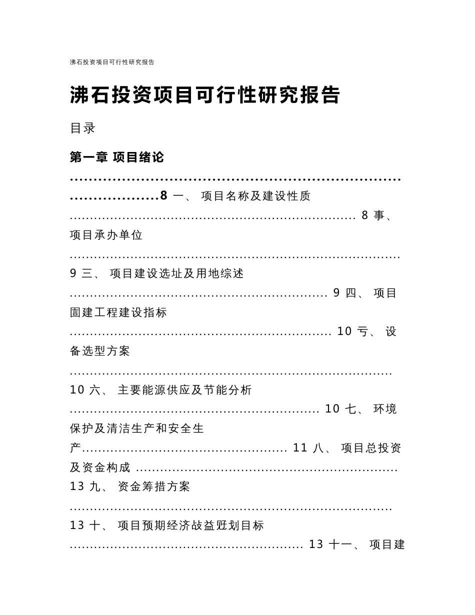 沸石投资项目可行性研究报告_第1页