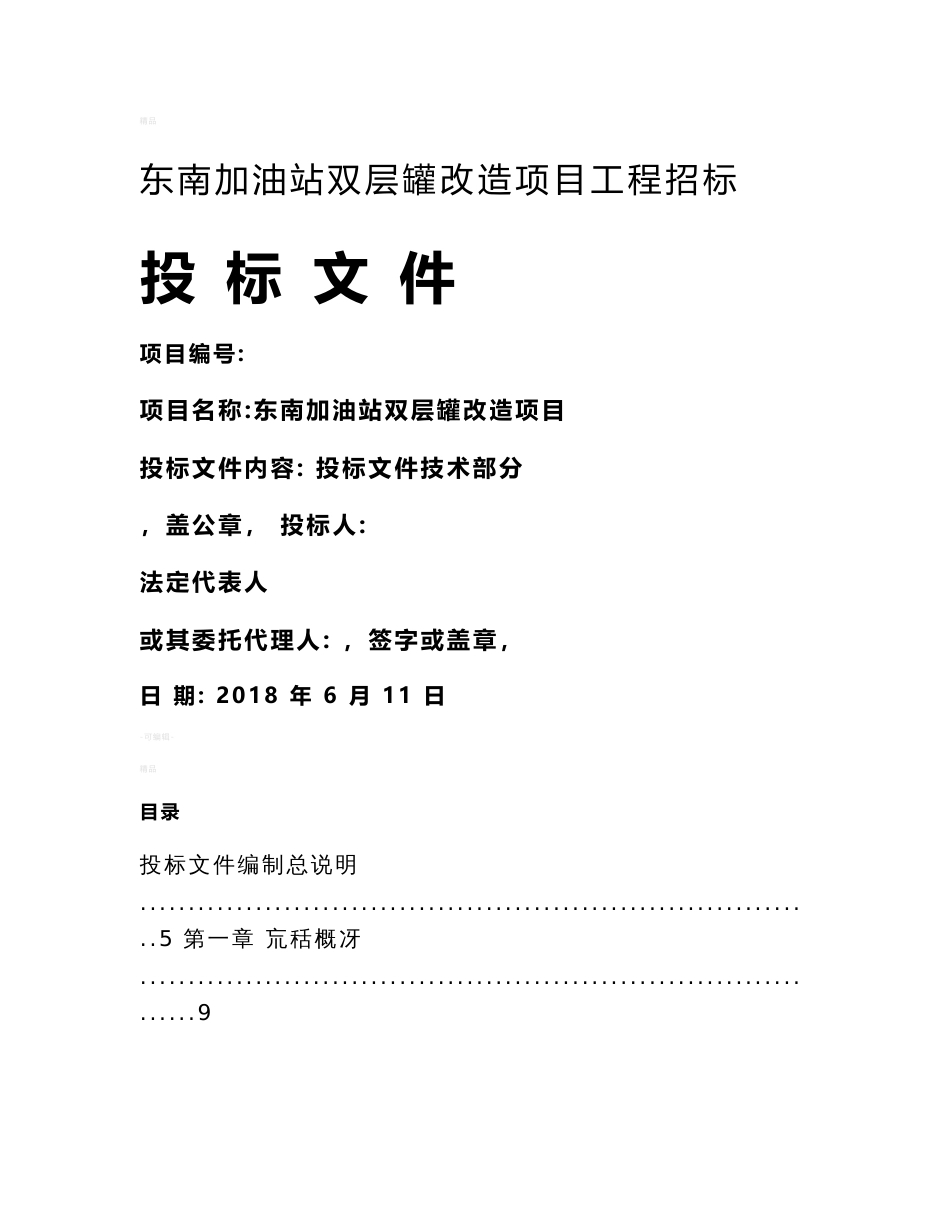 2018加油站双层罐改造项目投标文件_第1页