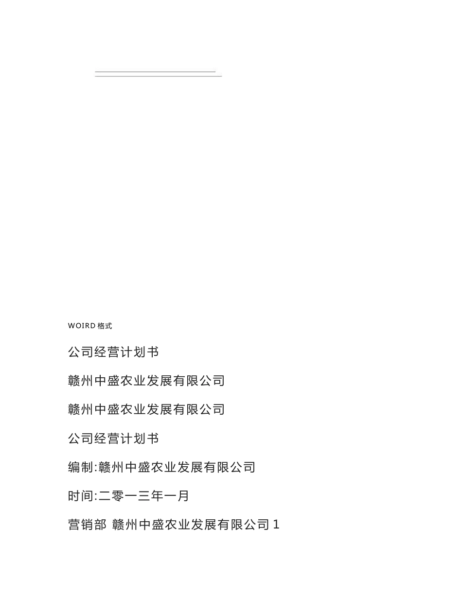 公司运营计划书模板-企业运行计划_第1页