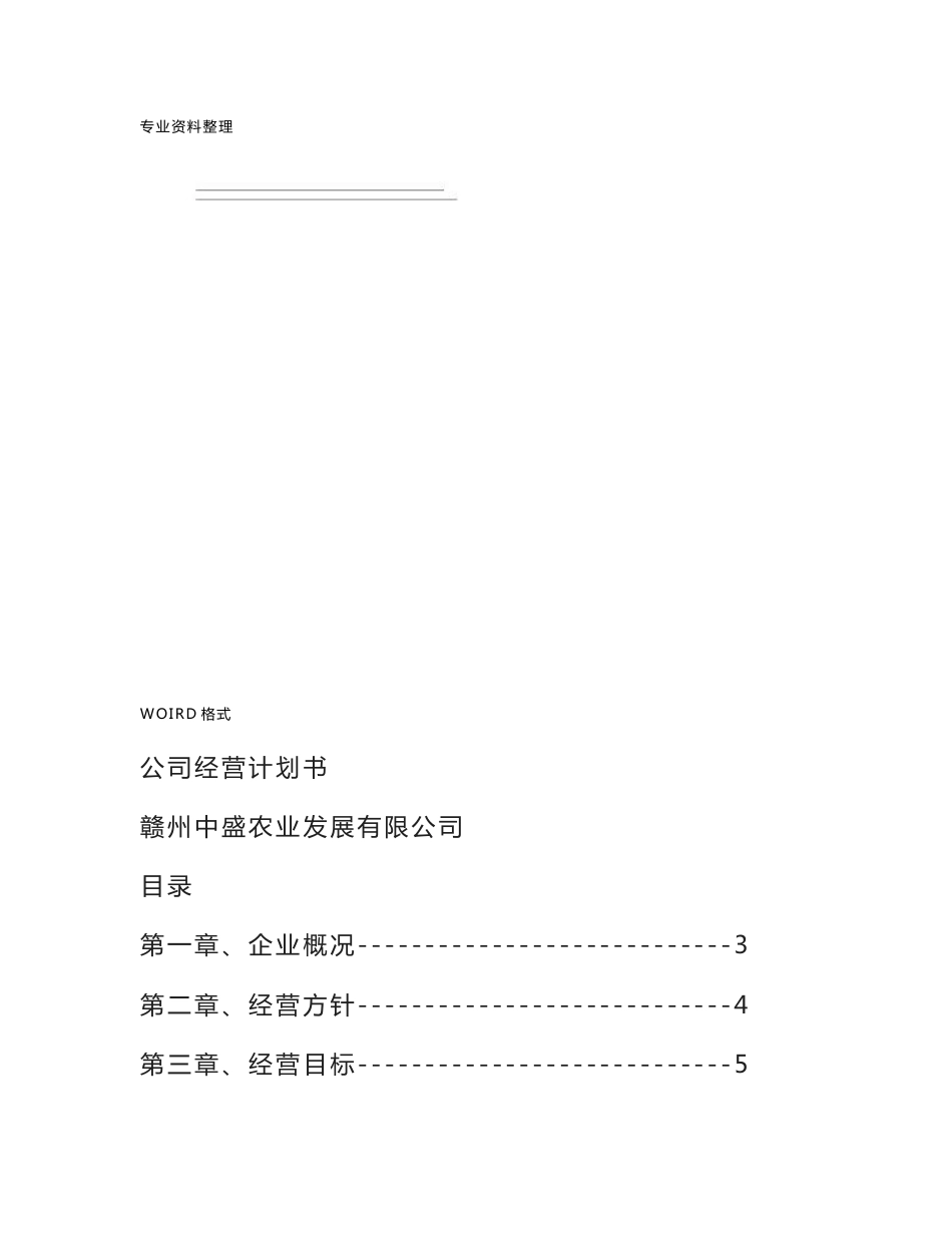 公司运营计划书模板-企业运行计划_第2页