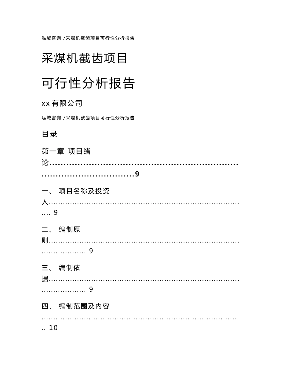 采煤机截齿项目可行性分析报告-模板_第1页