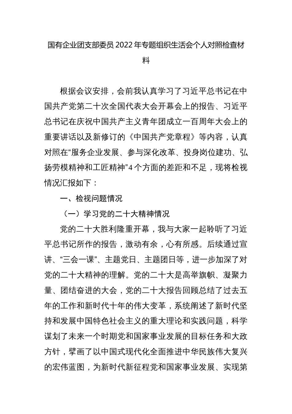 国有企业公司团支部2022-2023年专题组织生活会个人对照检查材料_第1页